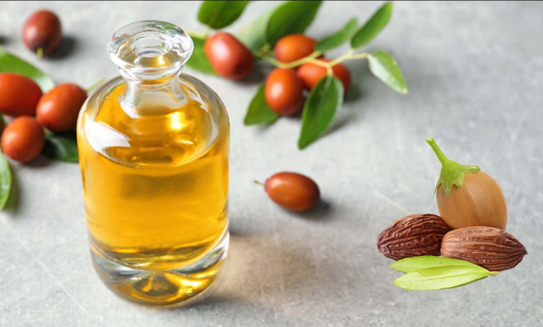 Jojoba Yağının Cilde Faydaları Nelerdir, Nasıl Kullanılır